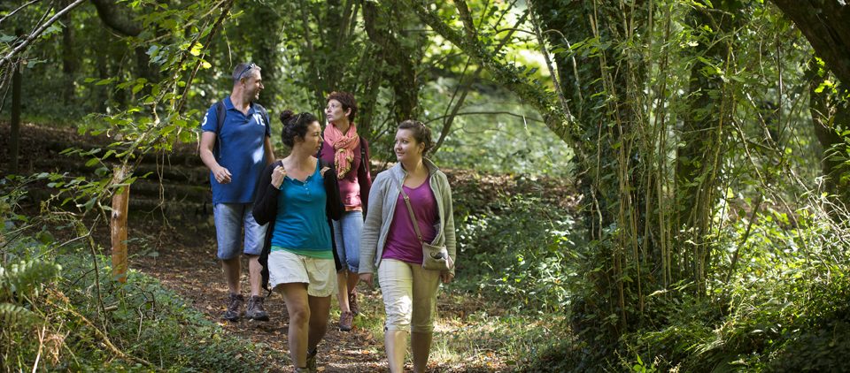 discovery tours bois du nevet, Locronan