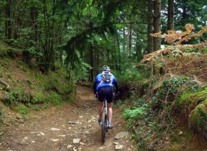 Chemin de randonnée VTT sur la commune de Landudal
