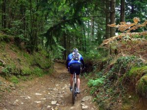 Percorso per mountain bike nel comune di Landudal