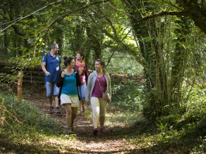 Gezinswandeling in de omgeving van Quimper