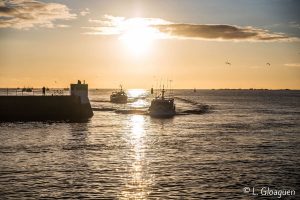 cornouaille-le-guilvinec-retour-des-bateaux-chaluliers-coucher-de-soleil-ete-2019-2-photo-L-Gloaguen