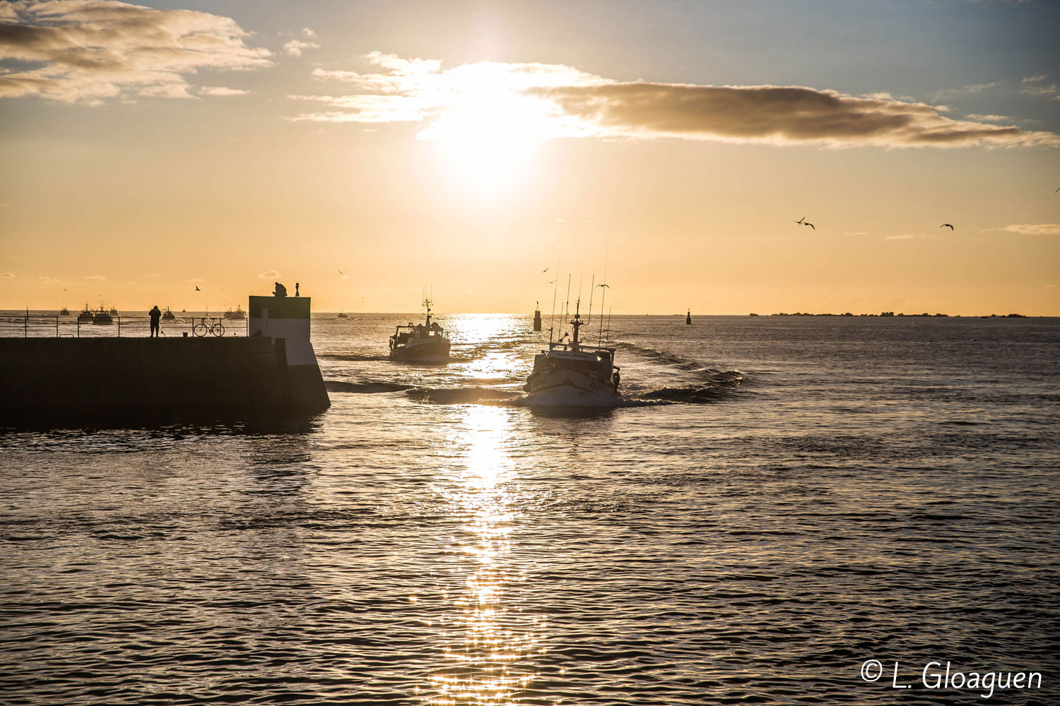 cornouaille-le-guilvinec-retour-des-bateaux-chaluliers-coucher-de-soleil-ete-2019-2-photo-L-Gloaguen