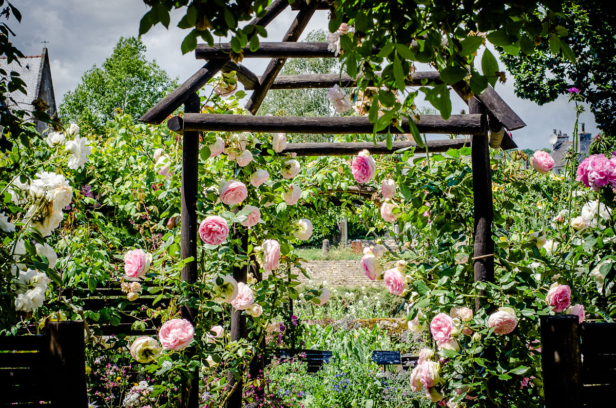 jardin-medieval-du-prieure-de-locmaria-quimper-foto-ville-de-quimper