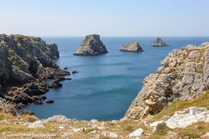 presqu-ile-crozon-pointe-de-pen-hir-tas-de-pois-photo-GUILLAUDEAU-Donatienne-CRTB-2